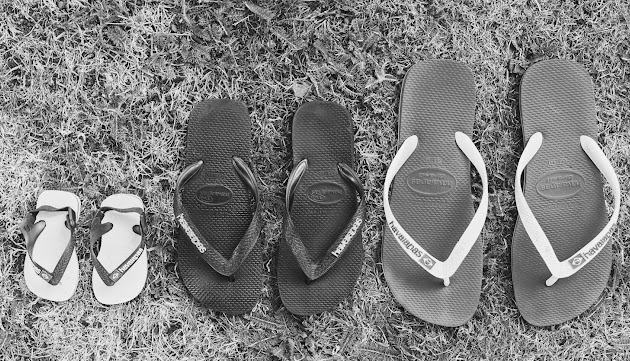 Cover photo