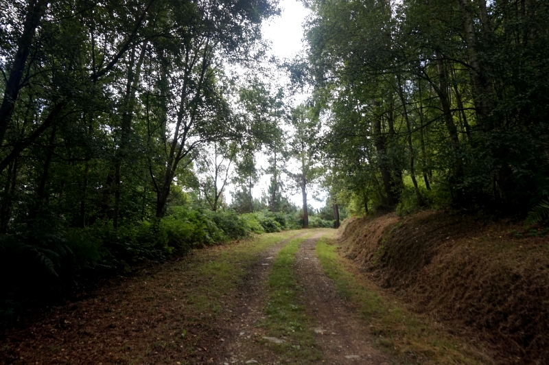 La Peñona (Pravia) - Descubriendo Asturias (11)