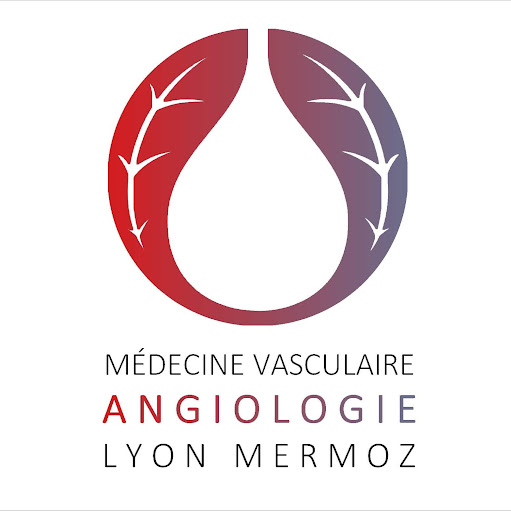Docteur Benjamin Peyrachon, Médecin Vasculaire - Angiologue à Lyon logo