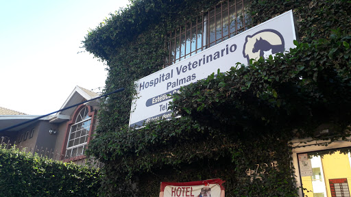 Hospital Veterinario Palmas, Av las Palmas 4721, Las Palmas, 22106 Tijuana, B.C., México, Veterinario | BC