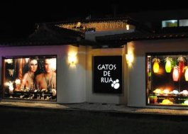 gatos-rua-loja gatos-rua-loja