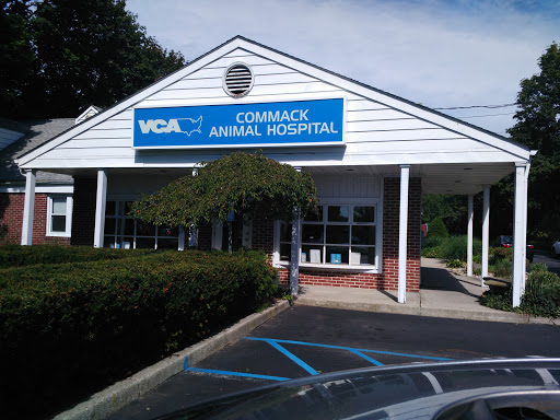 Animal Hospital «Commack Animal Hospital», reviews and photos