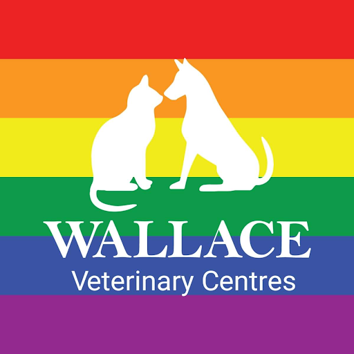 Wallace Vets - Carnoustie logo