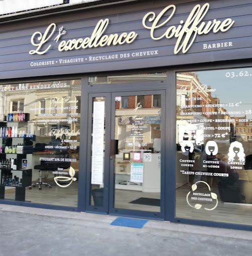 L'excellence Coiffure logo