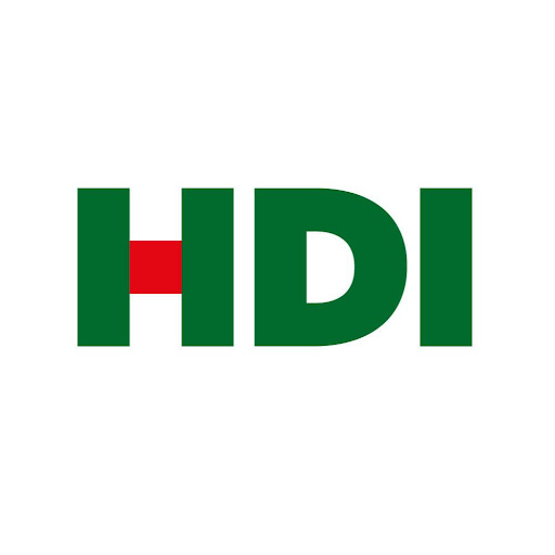 HDI Versicherungen: Ali Dousti logo