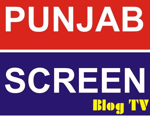 Punjab Screen, 68,, B-1-213/404, New Kundanpuri, Civil Lines, Ludhiana, Punjab 141008, India, Interactive_Media_Service_Provider, state PB