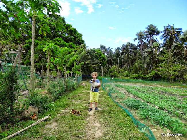 Tao Philippines Expedition