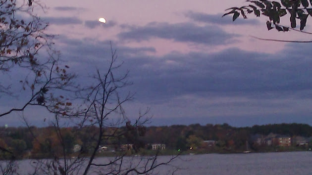Cover photo
