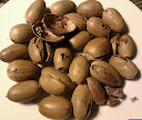 Oct 2011 N4: Finsbury Pk acorns after drying Oct 2011 N4: Finsbury Pk acorns after drying