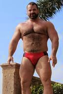 Hairy Chested Muscle Bears - Hot Hot Hot