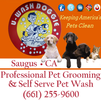 U-Wash Doggie logo