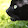 Roberto Girelli Roberto Girelli's profile photo