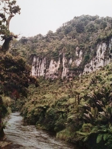 Punakaiki Beach Camp