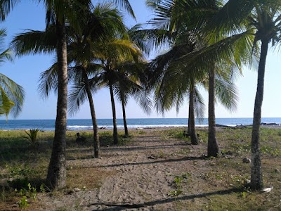 Photos of Costa Rica Tourism Transportation - Cuchi Transfers