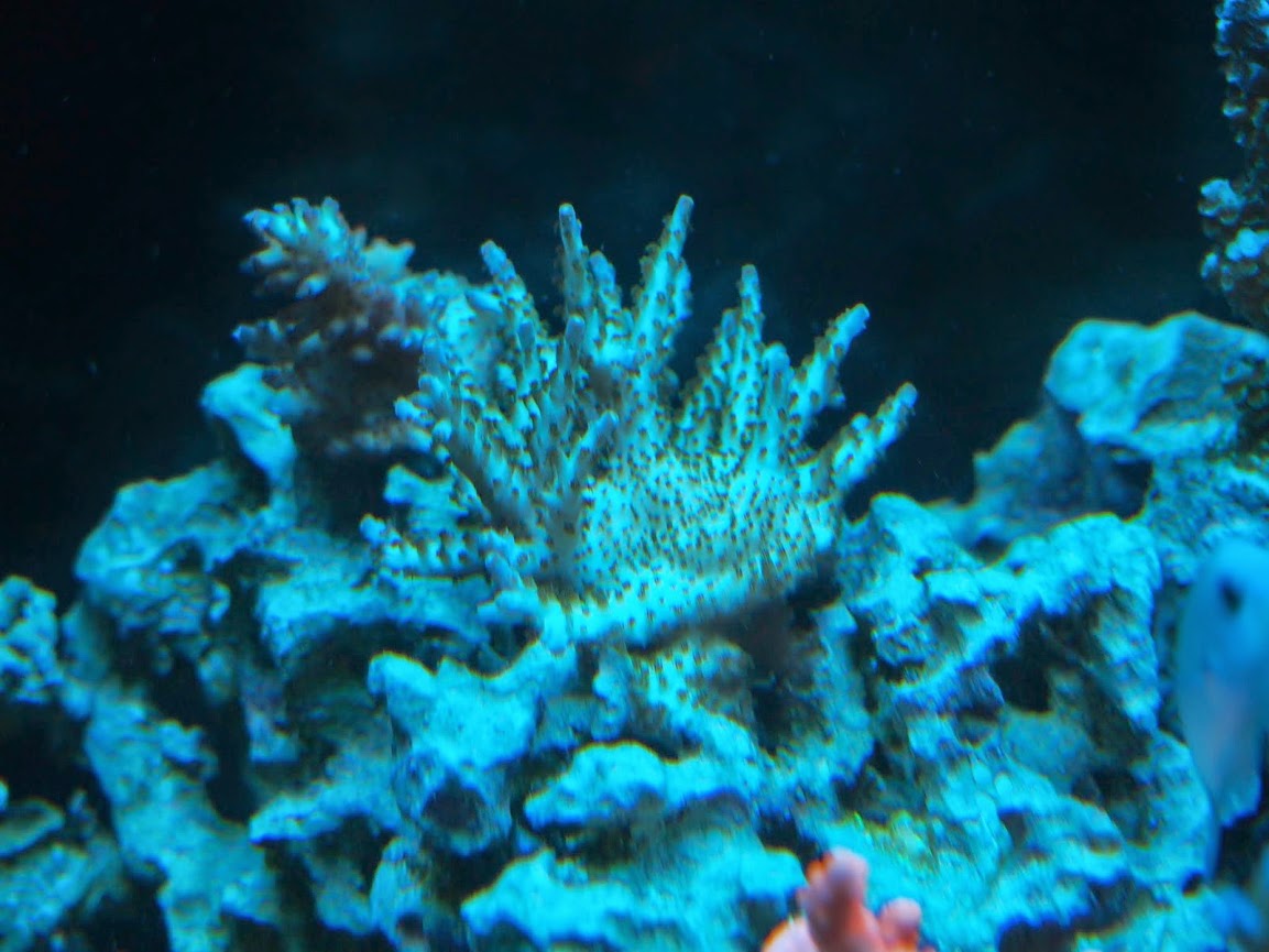 P4180078.JPG