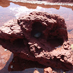 Red rock in the bay (102994)