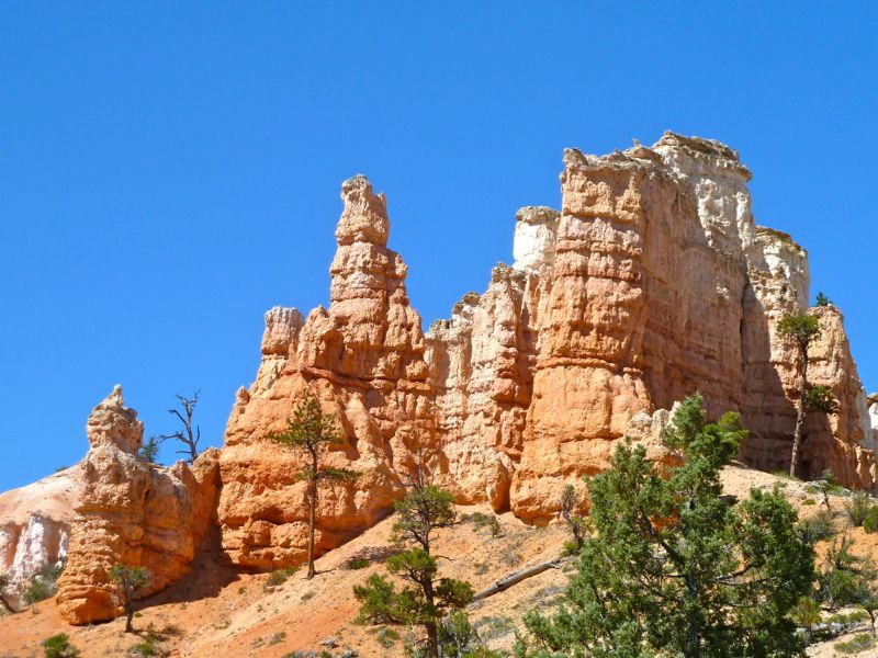 USA2011-206.jpg