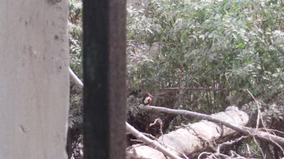 Photos of انتاج حيوانى المزرعه