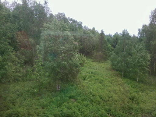 Rovaniemi