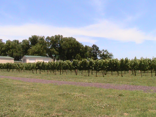 Vineyard «Old House Vineyards», reviews and photos, 18351 Corkys Ln, Culpeper, VA 22701, USA