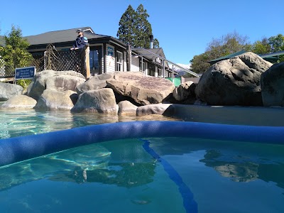 Photos of Hanmer Springs Thermal Pools & Spa