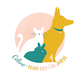 Céline Bien-être Animal • Éducation canine