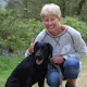 Dog Walker and Pet Services Horsham - Doggie Rambles (Boarding Licence No. L1/21/0592/HOMEB)