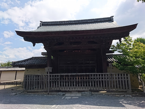 Bamboo Forest 嵐山竹林