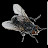 Banana Torpedo avatar image
