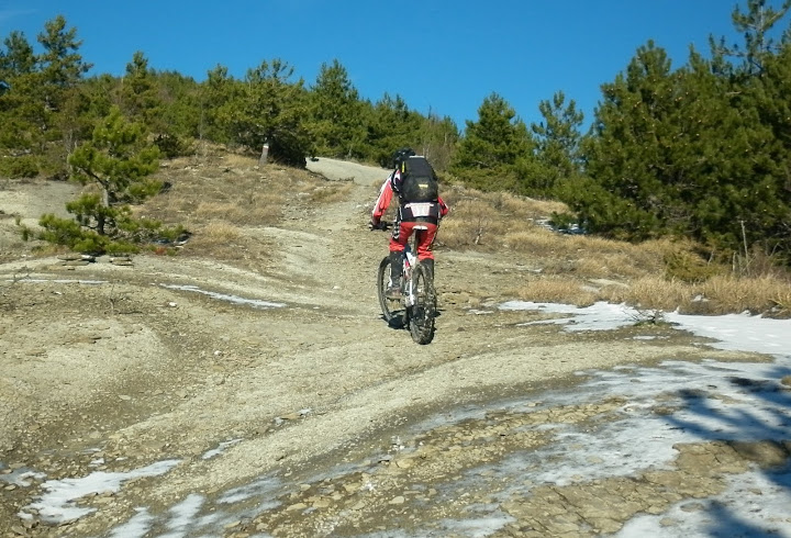 P1000885.JPG