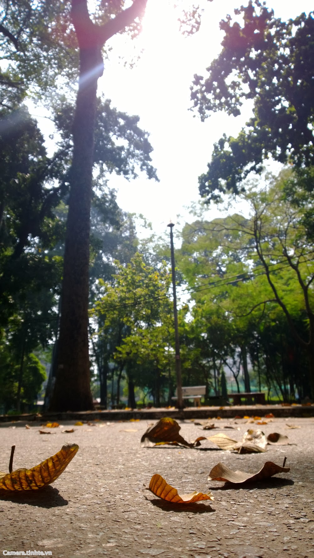 WP_20131017_05_10_26_Pro__highres.