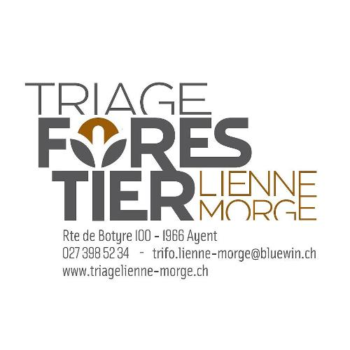 Triage Lienne-Morge logo