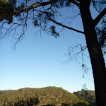 View from Near the bottom of Mt Kuring-gai Track (422080)