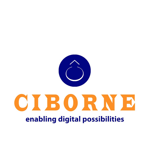 Ciborne Software, Dodd Brahmin Keri Street, Gandhi Bazar, KR Puram, Shivamogga, Karnataka 577202, India, Software_Company, state KA