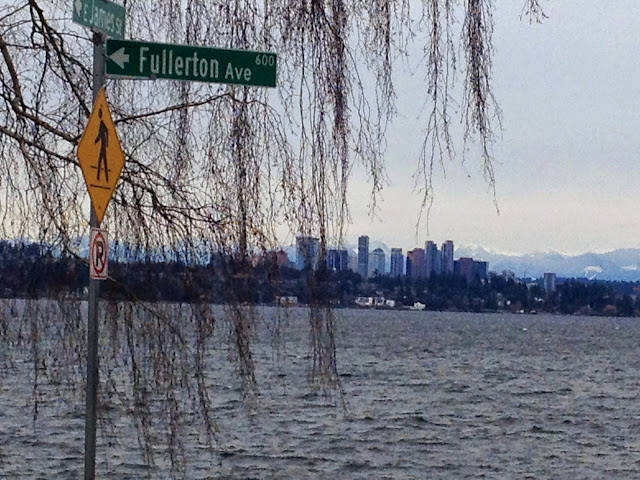 Looking at the Bellevue Skyline from just above Lake Washington Blvd in Madrona.