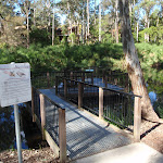 Viewing platform at the Lakes of Cherrybrook (152533)