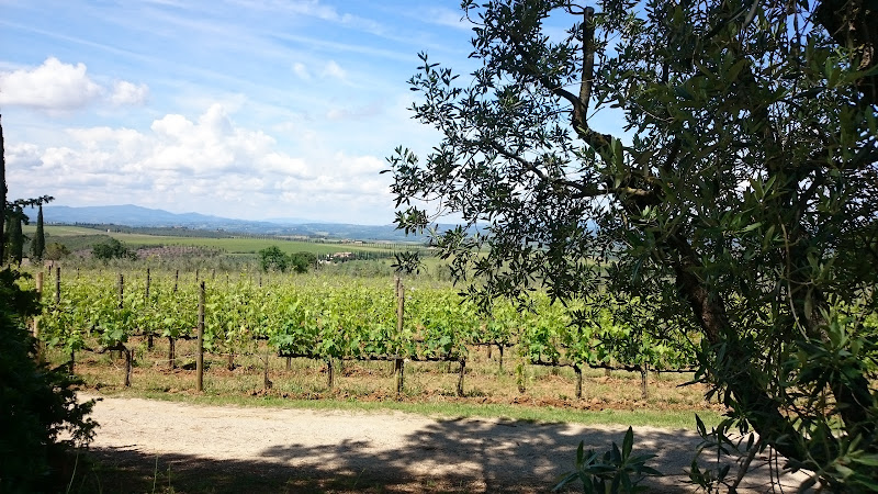 Main image of Máté Winery