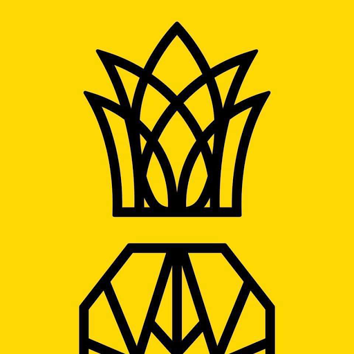ananas gym GmbH logo