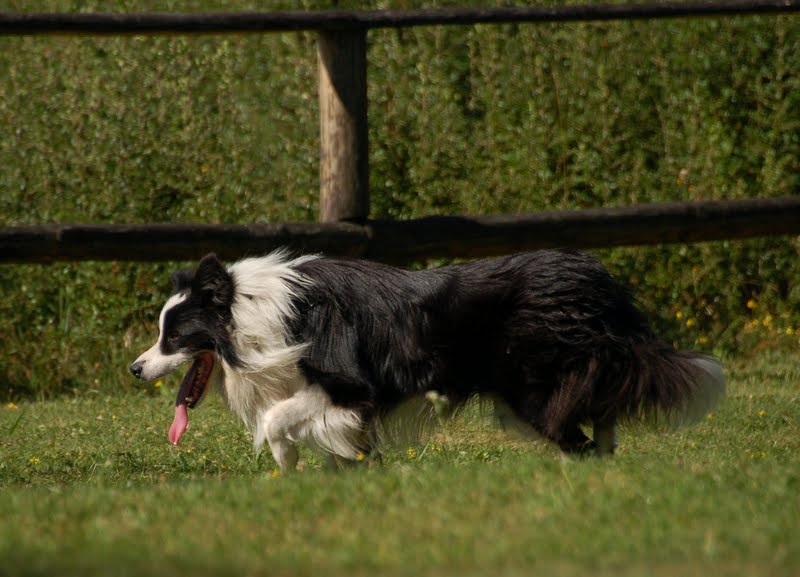 DSC_8809.JPG