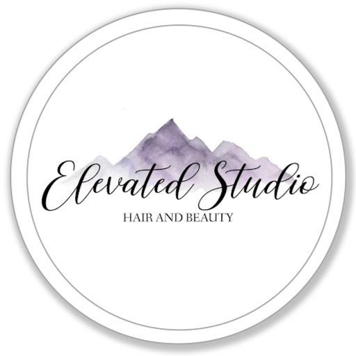 Elevated Studio - Hair By Nikii @ Blown Away Salon logo