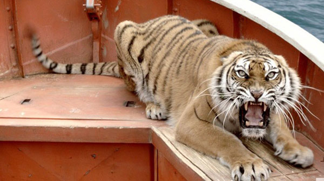 ริชาร์ด ปาร์คเกอร์ (เสือเบงกอล ชื่อเดิม เธอร์สตี้ ในหนัง Life Of Pi)
