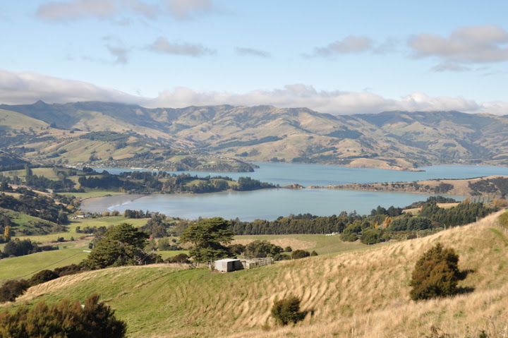 Akaroa, Christchurch Y Regreso (20-22 De Abril 2012) - Al otro lado del mundo - Nueva Zelanda (2012) (5)