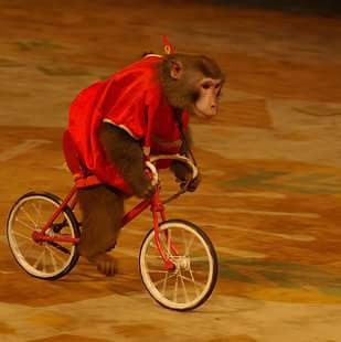 How Do I Securely Store My Medical Records