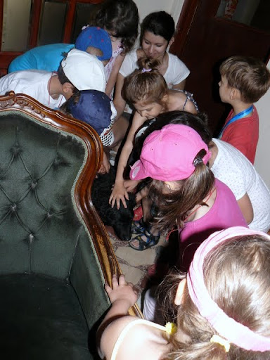 2011.06.17-19.ballag%2525C3%2525A1s%252520Peszi%252520074.jpg