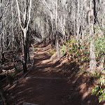 Track towards White Horse Bay from Kianiny Bay (102406)