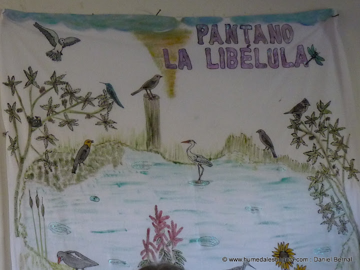 Pintura del Pantano La Libélula