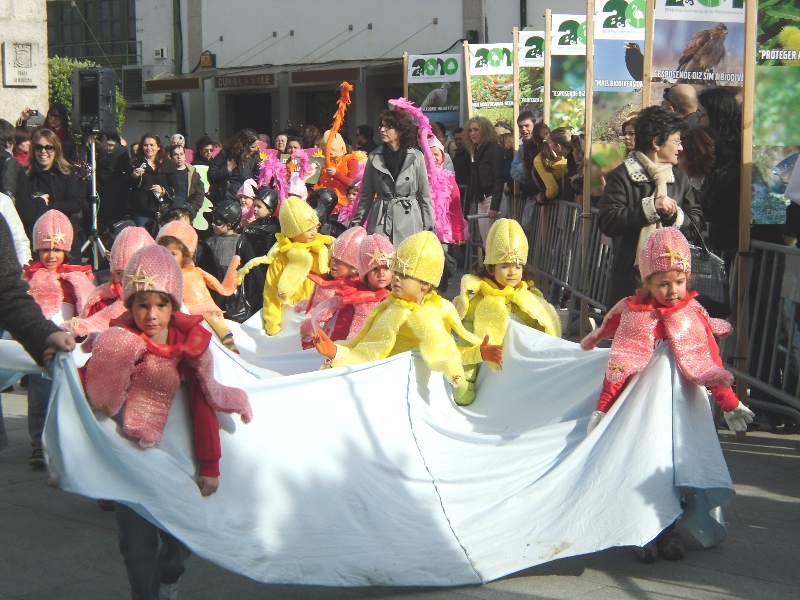 Desfile de Carnaval "Fantasia Ambiente" vai percorrer ruas de Esposende  sexta-feir​a | ESPOSENDE E O SEU CONCELHO