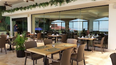 Photos of Golden Parnassus
