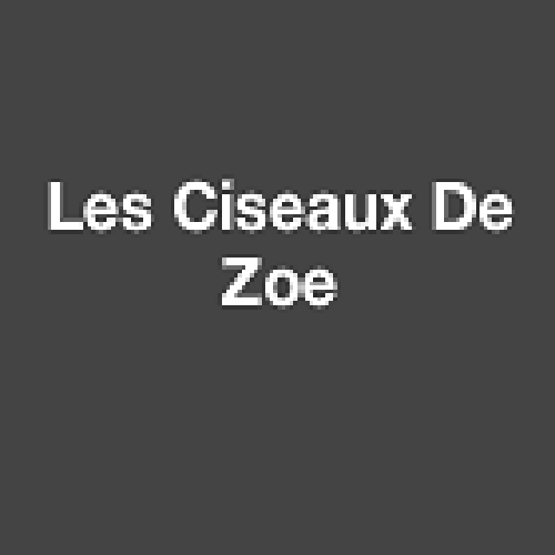 Les Ciseaux De Zoe logo