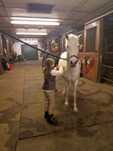 Gray Horse Farm Hamptons